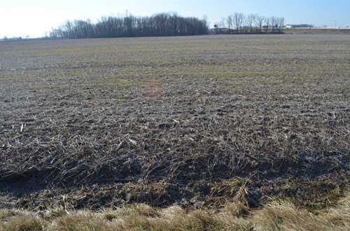 Property photo 27 - East Allen County - 55 Acre Land Auction